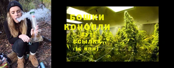 мяу мяу мука Кукмор