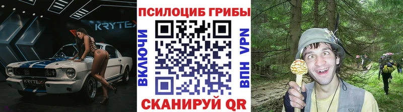 Галлюциногенные грибы Magic Shrooms  Купить  Злынка 